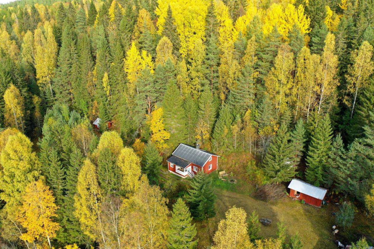 Little Forest House "Our Little Farm" Eksharad Ngoại thất bức ảnh